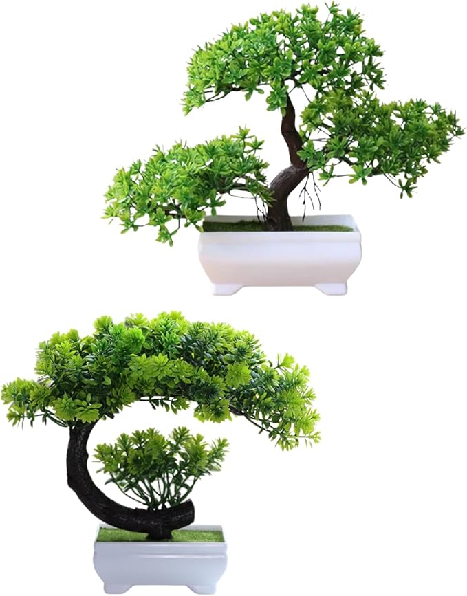bonsai01